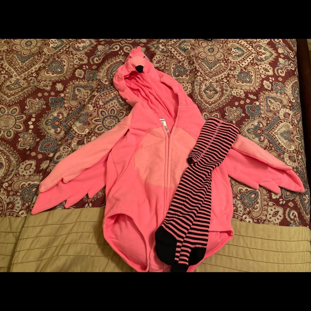 Cutest Flamingo Costume EVER